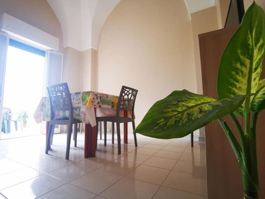 Lola, Holiday home *